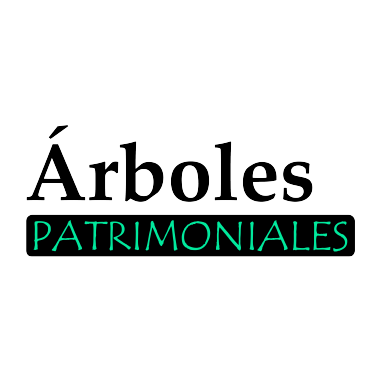 Colectivo Árboles Patrimoniales