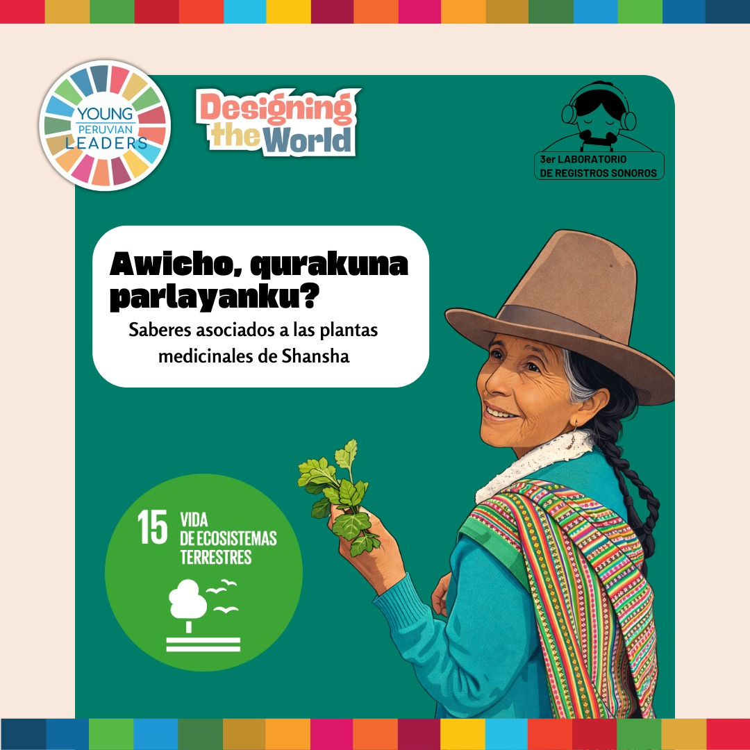 Awicho, qurakuna parlayanki? Saberes asociados a las plantas medicinales de Shansha