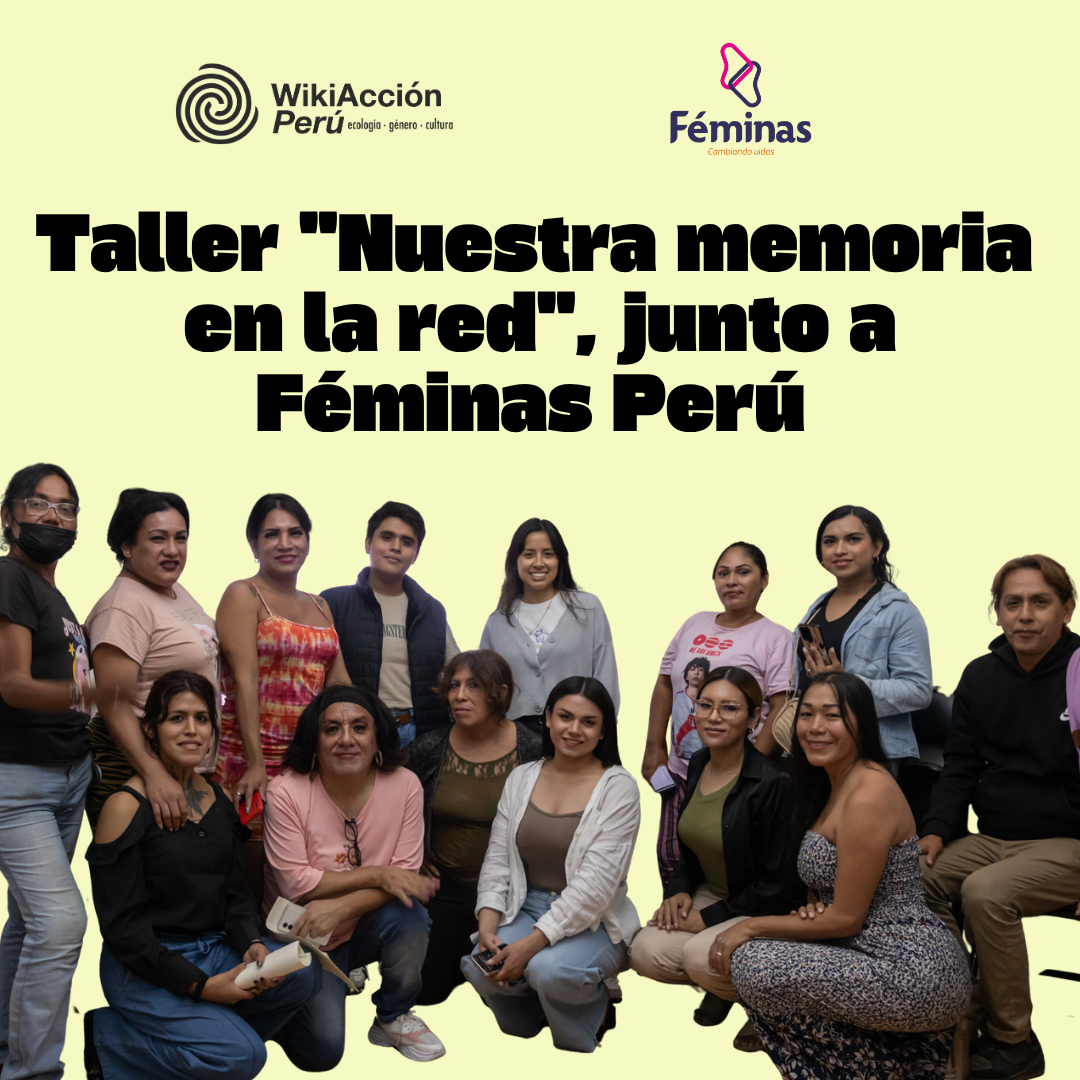 Nuestra memoria en la red: reflexiones sobre el taller realizado junto a Féminas Perú