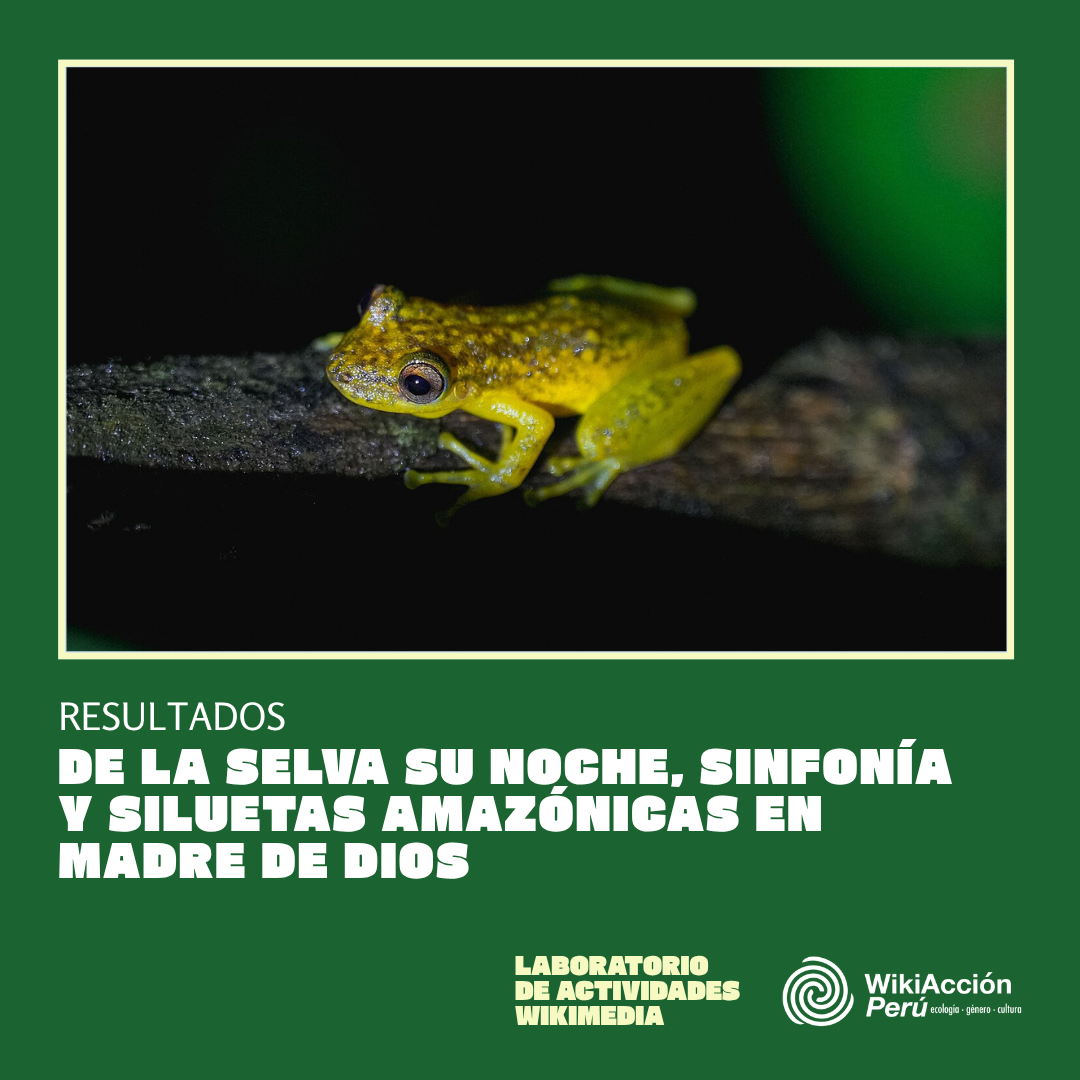 Resultados del proyecto “De la selva su noche, sinfonía y siluetas amazónicas” en Madre de Dios