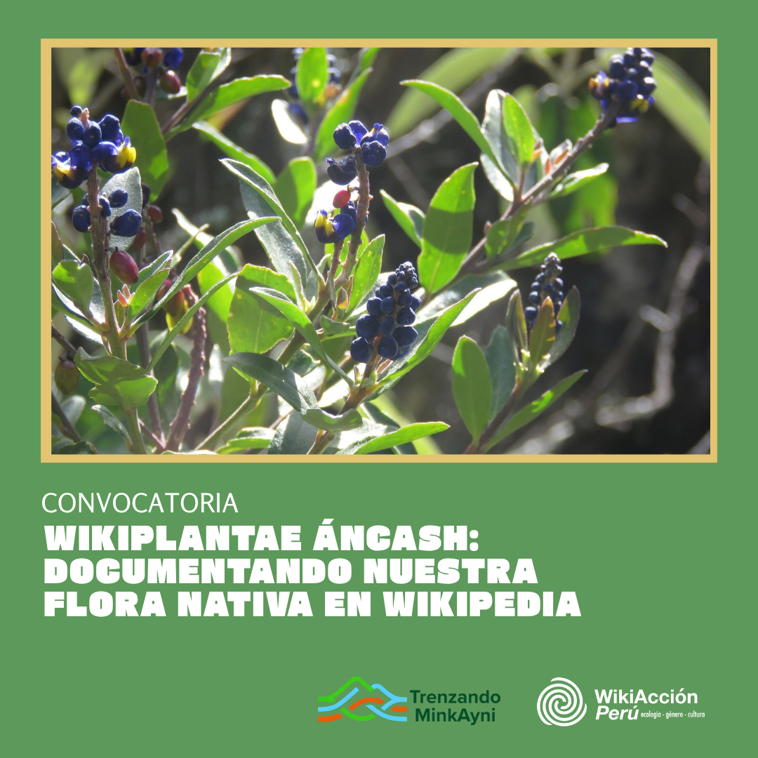 WikiPlantae Áncash: Documentando nuestra flora nativa en Wikipedia